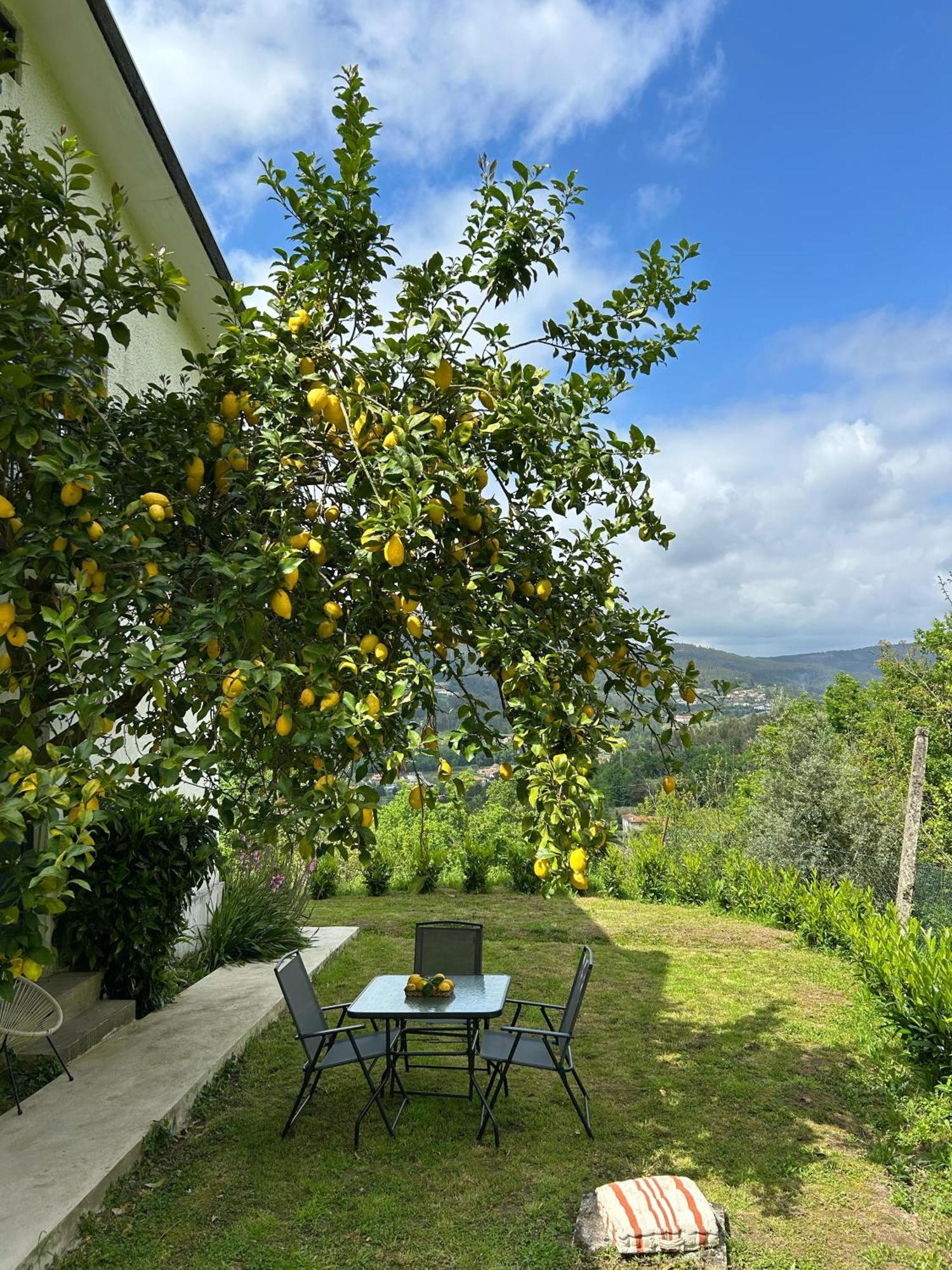 Willa Casa De Fraguas Arouca Zewnętrze zdjęcie